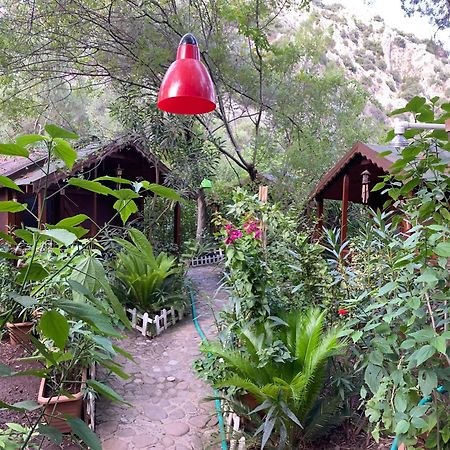 Canario Bungalows Çıralı Eksteriør bilde