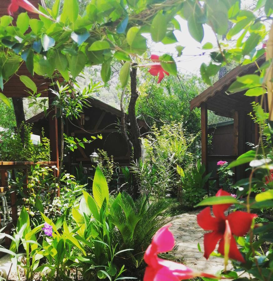 Canario Bungalows Çıralı Eksteriør bilde