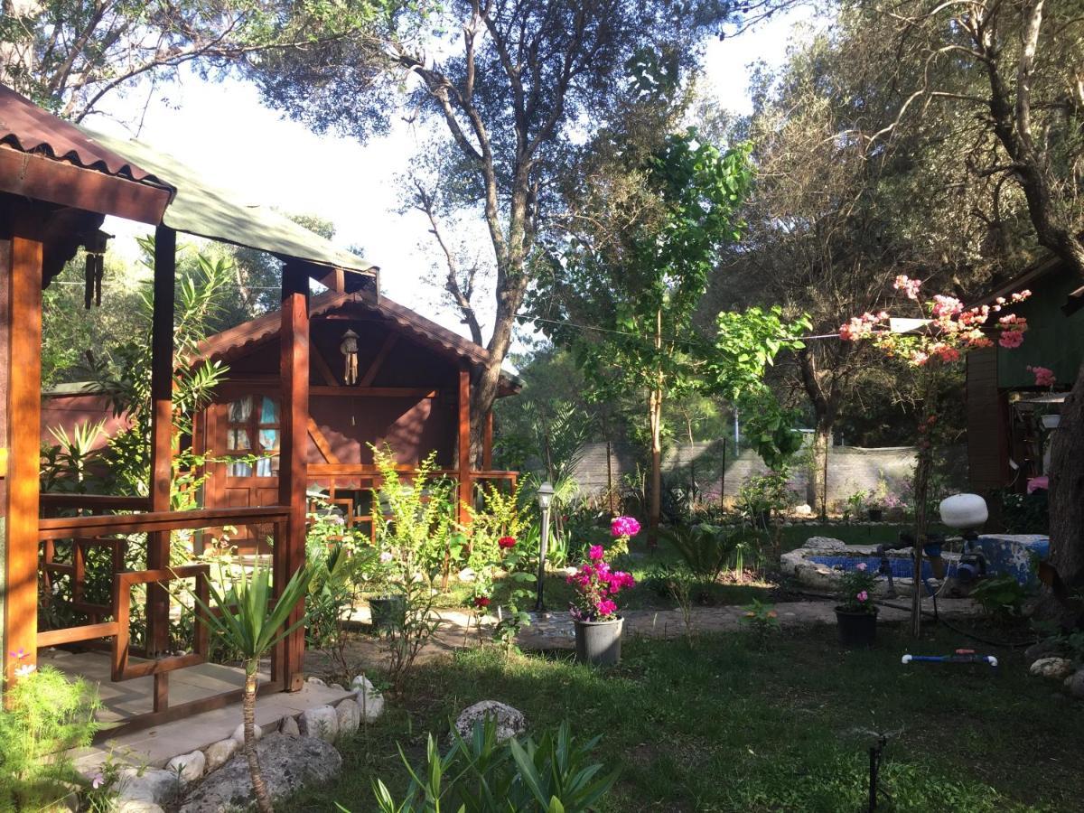 Canario Bungalows Çıralı Eksteriør bilde