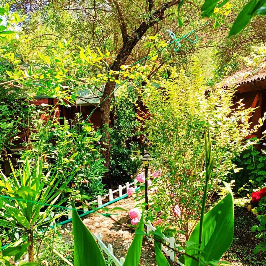 Canario Bungalows Çıralı Eksteriør bilde