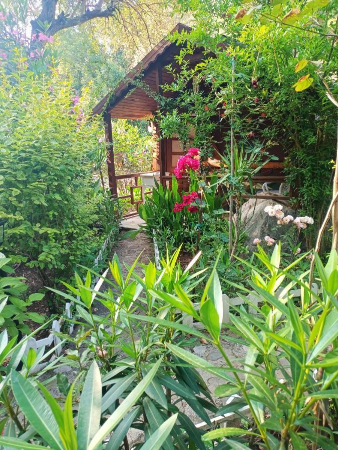 Canario Bungalows Çıralı Eksteriør bilde