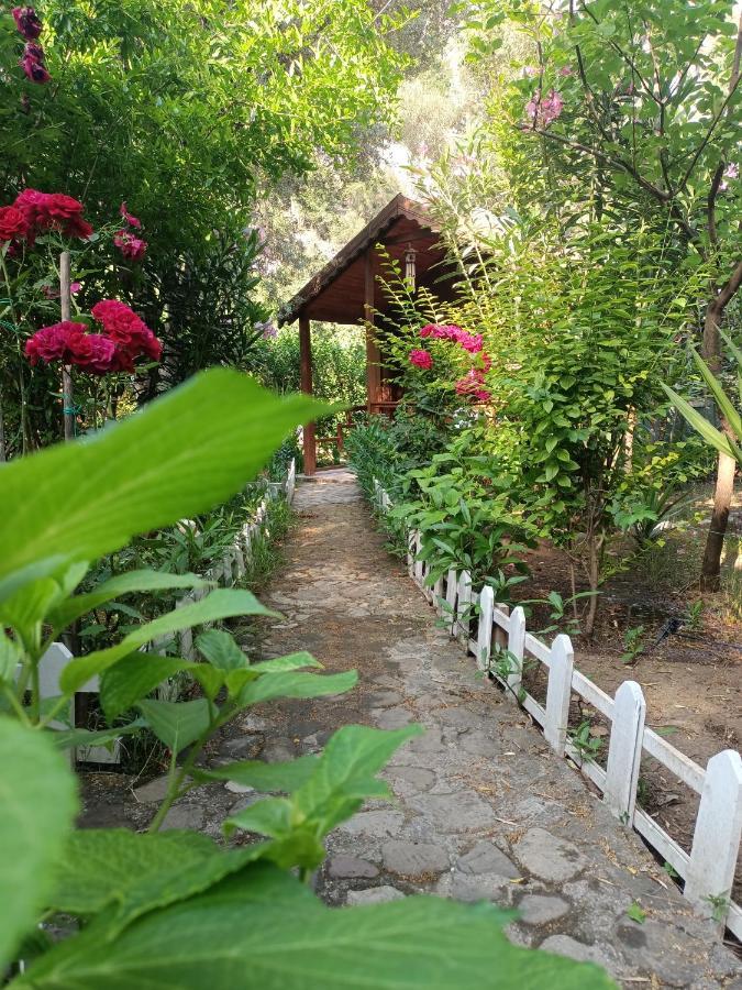 Canario Bungalows Çıralı Eksteriør bilde