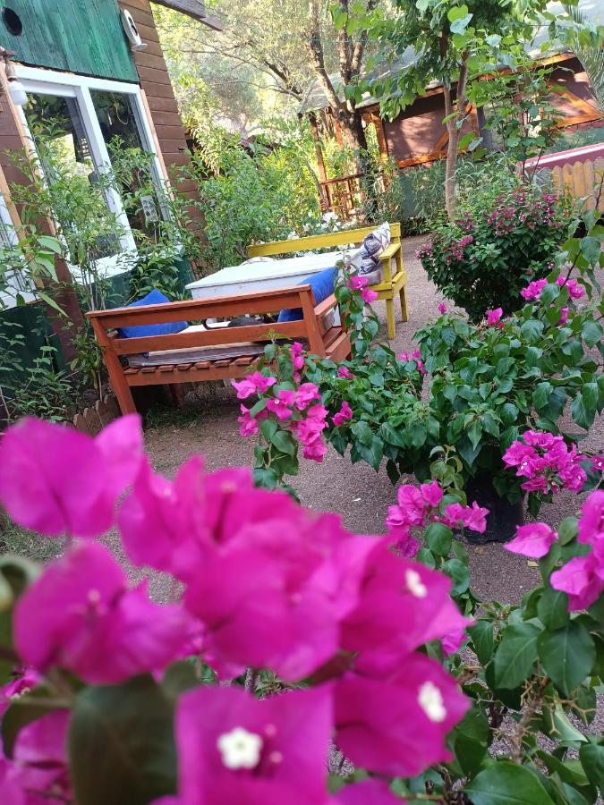 Canario Bungalows Çıralı Eksteriør bilde