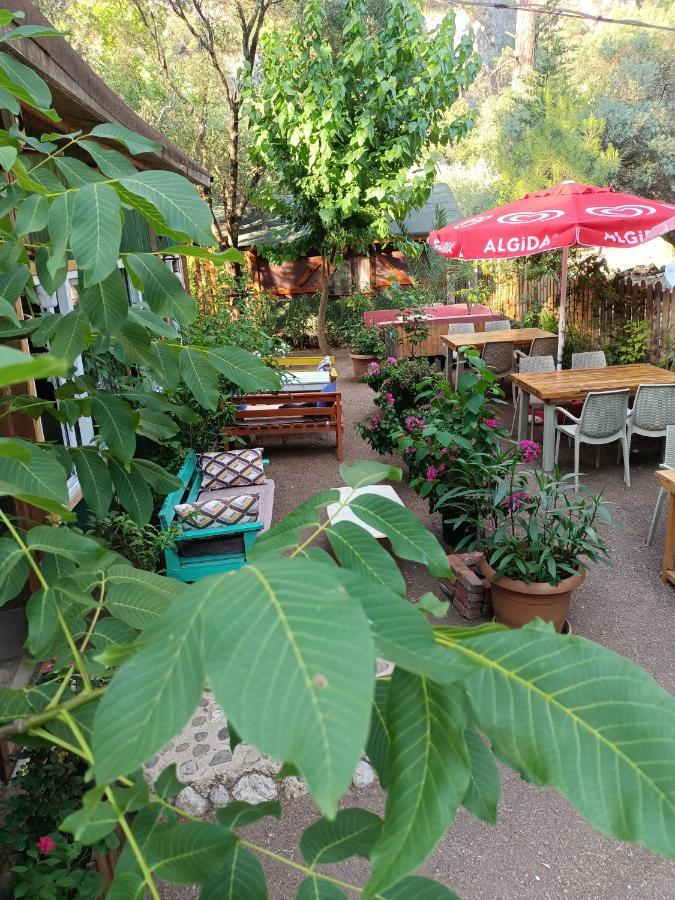 Canario Bungalows Çıralı Eksteriør bilde