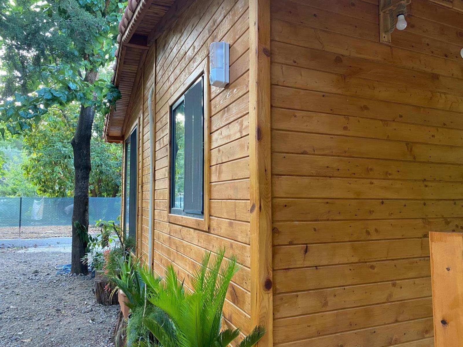 Canario Bungalows Çıralı Eksteriør bilde