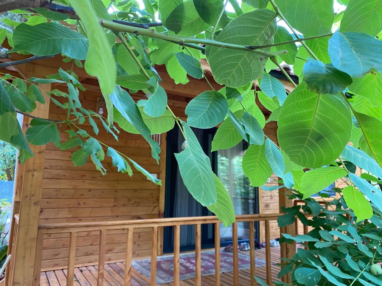 Canario Bungalows Çıralı Eksteriør bilde