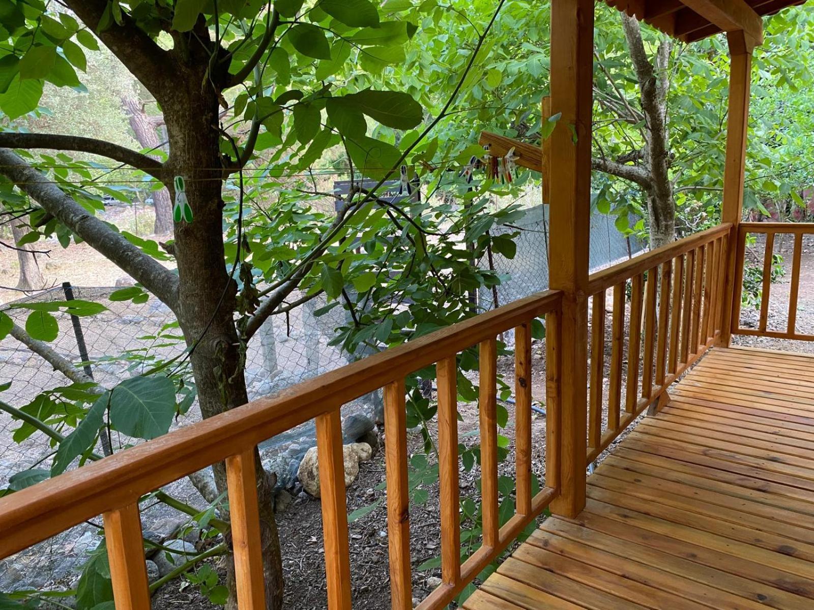 Canario Bungalows Çıralı Eksteriør bilde